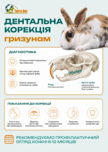 Дентальна корекція гризунам