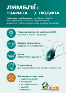 Лямблії у тварин
