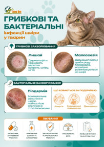 Грибкові та бактеріальні інфекції шкіри у тварин