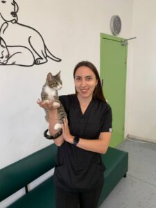 Гастроэнтерологические болезни: когда у животных болит живот