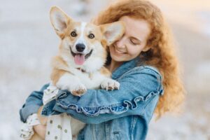 Помилки власників літніх собак 