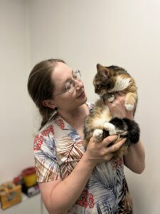 Гастроэнтерологические болезни: когда у животных болит живот