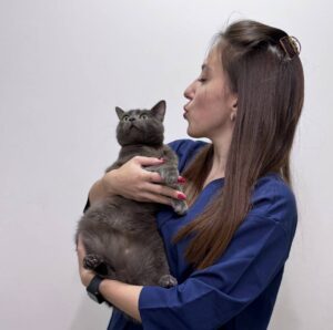 На що звернути увагу при виборі ветеринарного центру?