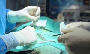 Клінічний випадок: лікування 11-річної кішки