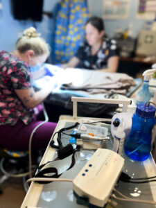 Санація ротової порожнини у котів і собак