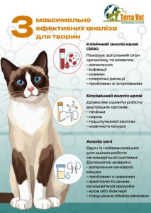 Аналізи для тварин. 3 максимально ефективних