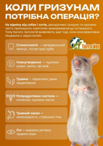  Хірургія для щурів і кроликів