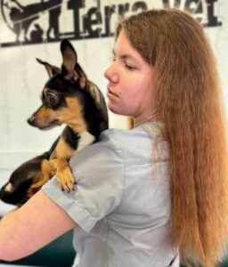 Серцева недостатність у собак. Що за цим криється?