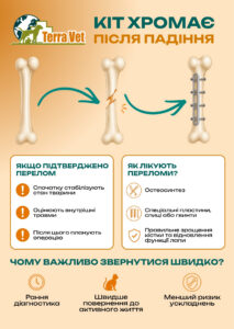 Кіт хромає після падіння