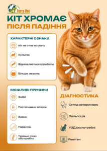 Кіт хромає після падіння
