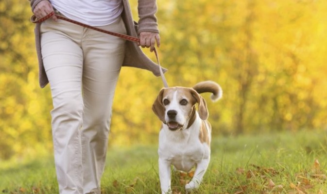 Бабезії, де і як можна підхопити