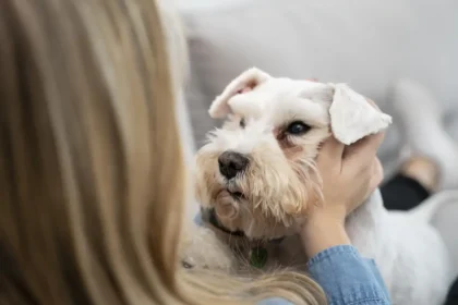 Доброякісні новоутворення шкіри у собак