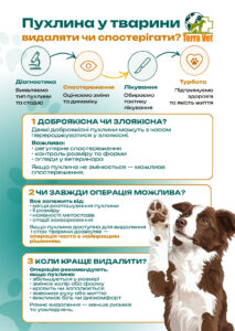 Пухлина у тварини – лікар радить операцію. Чи погоджуватися?