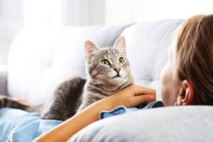 Які аналізи підтверджують запальні процеси сечовидільної системи у тварин?