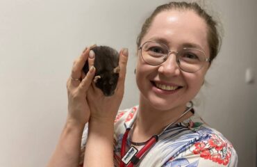 Видалення новоутворень у щурів