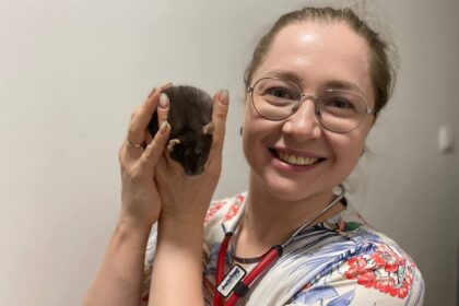 Видалення новоутворень у щурів