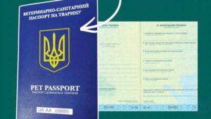 Ветеринарний паспорт: чому без нього ніяк і як його оформити?