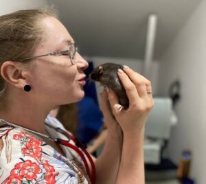 Видалення новоутворень у щурів