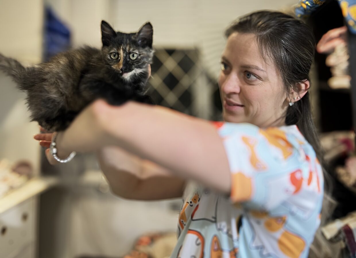 Ортопедія. Переломи кінцівок