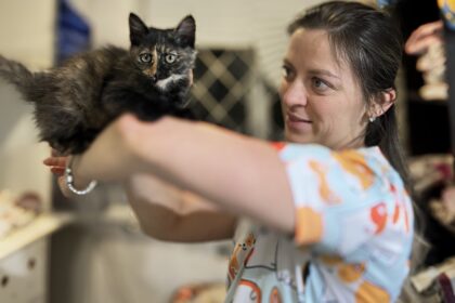 Ортопедія. Переломи кінцівок