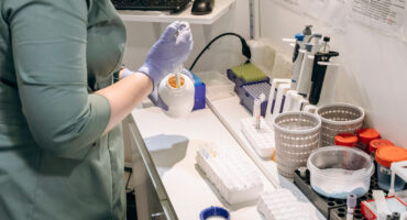 Які аналізи підтверджують запальні процеси сечовидільної системи у тварин?