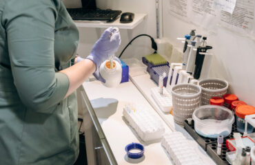 Які аналізи підтверджують запальні процеси сечовидільної системи у тварин? Які аналізи підтверджують запальні процеси сечовидільної системи у тварин?