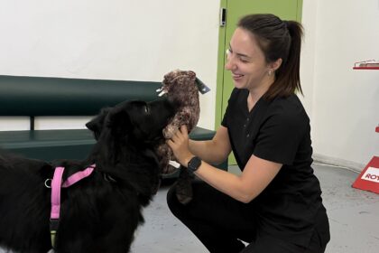 Кардіоміопатія у собак: як розпізнати і підтримати серце улюбленця