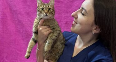 Ветеринарний центр: на що звернути увагу при виборі