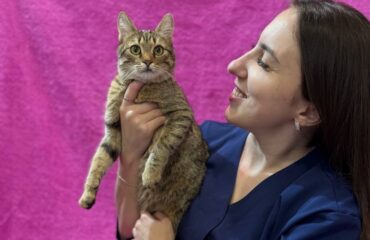 Ветеринарний центр: на що звернути увагу при виборі Ветеринарний центр: на що звернути увагу при виборі