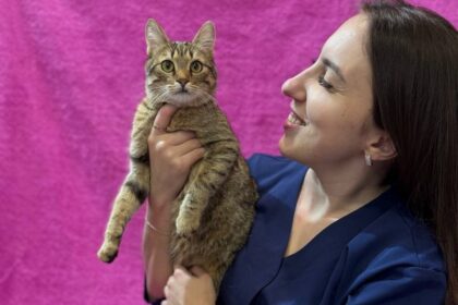 Ветеринарний центр: на що звернути увагу при виборі