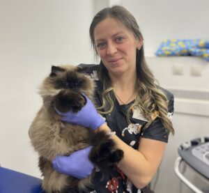 Стороннє тіло в ШКТ у тварин