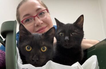 На що звернути увагу при виборі ветеринарного центру?