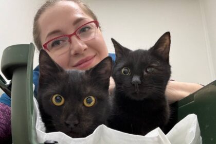 На що звернути увагу при виборі ветеринарного центру?