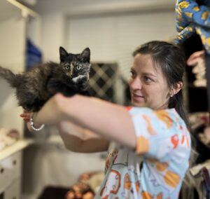 Піодермія у собак і котів