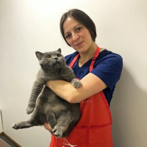 Полипы в ушах у котов 