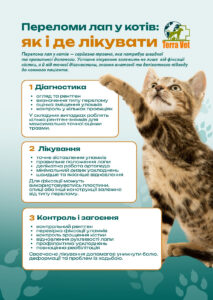 Перелом лапи у кота. Як і де лікувати?
