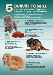 5 симптомів, при яких терміново треба до ветеринара на прийом