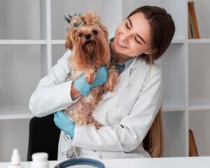 «Норм или стрём?» — отвечает ветеринарный врач-репродуктолог