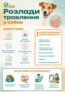 Типи розладів травлення у собак