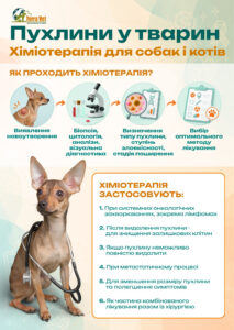Пухлини у тварин. Що буде якщо їх не видаляти?
