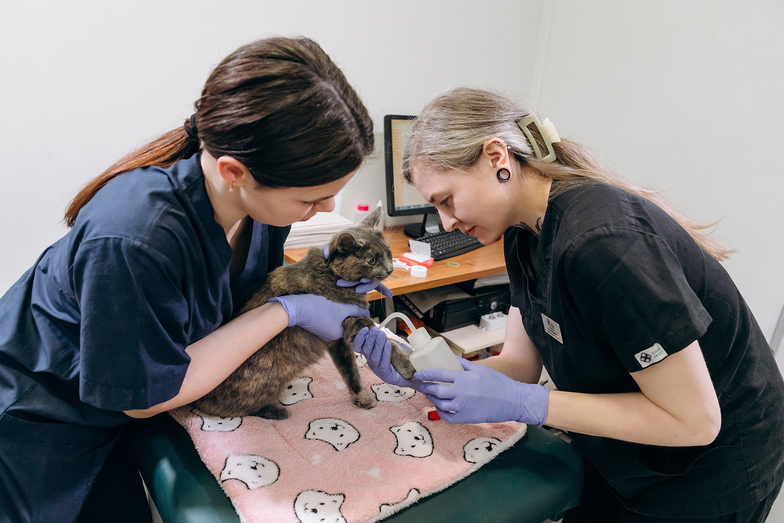 екстрена допомога для вашої тварини