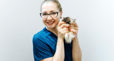 Ветклиника Терравет - индивидуальный подход к Вашему питомцу